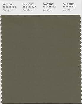 PANTONE Smart 18-0521X Color Swatch Card, Burnt Olive - House